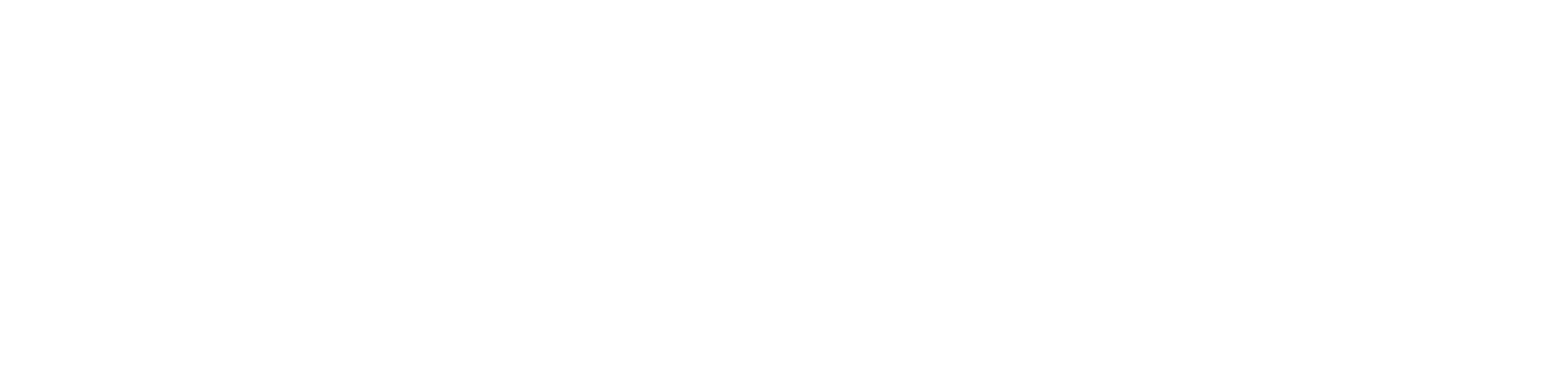 seacraftit logo